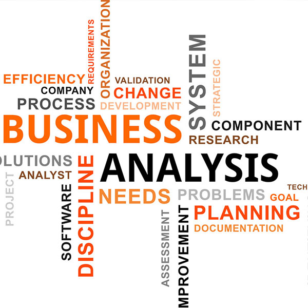 Business Analysis & Improvement